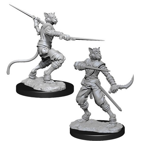 Tabaxi Rogue Male