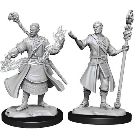 Half-Elf Wizard Male