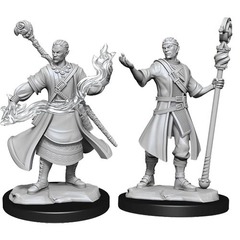 Half-Elf Wizard Male