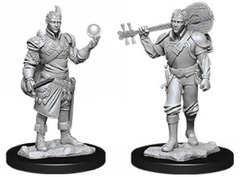 Half-Elf Bard Male