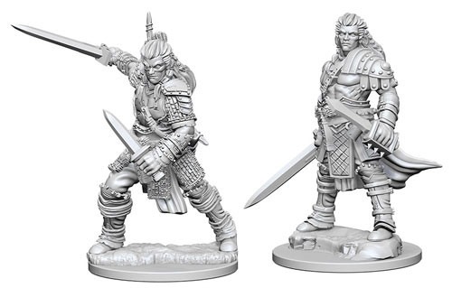 Human Fighter Male