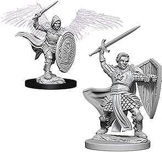 Aasimar Paladin Male