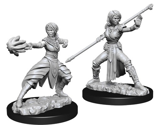 Half-Elf Monk Female