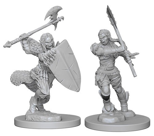 Half Orc Barbarian Female