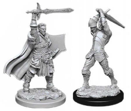 Human Paladin Male