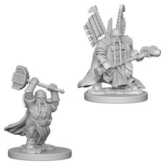 Dwarf Paladin Male