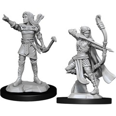 Elf Ranger