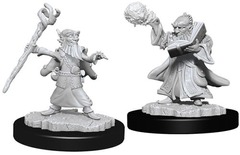 Gnome Wizard Male