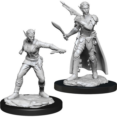 Shifter Rogue Female