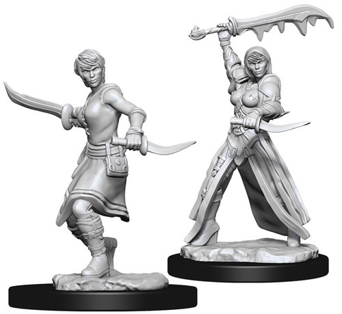 Human Rogue Female