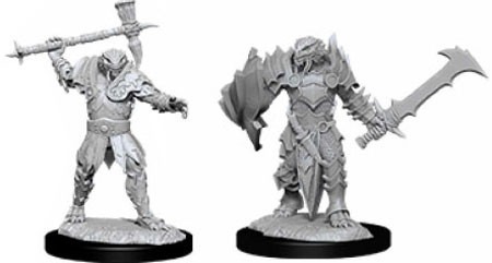 Dragonborn Paladin Female