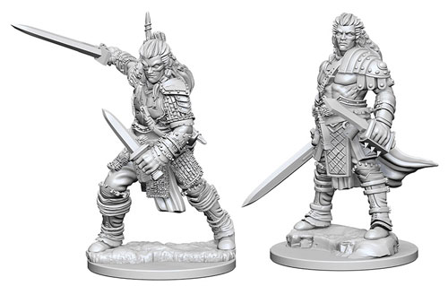 Human Fighter (Male)