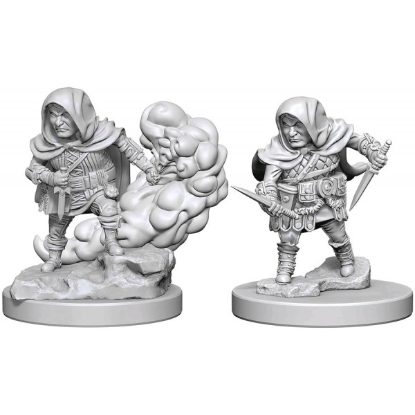 Halfling Rogue (Male)