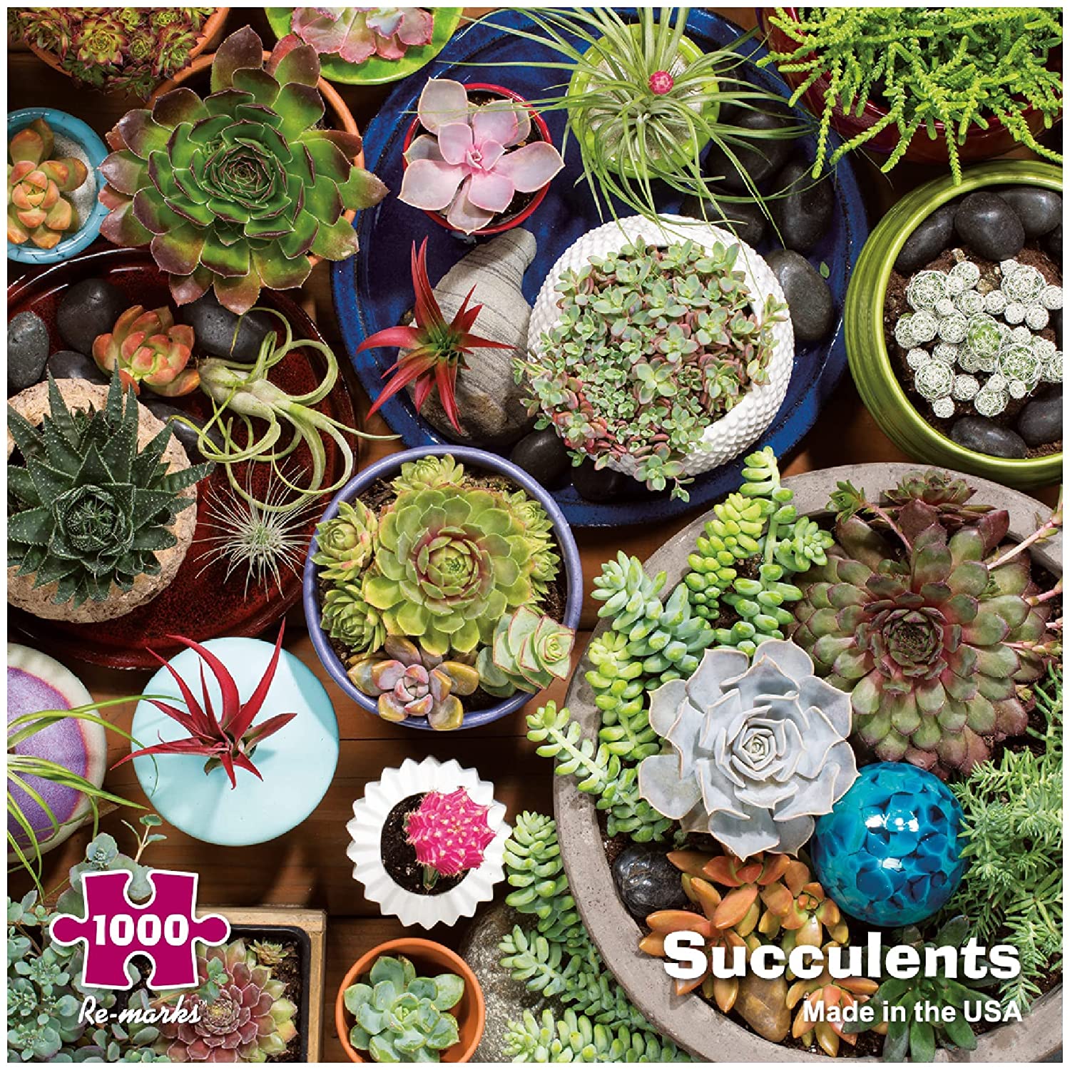 1000 PIECE SUCCULENTS PUZZLE