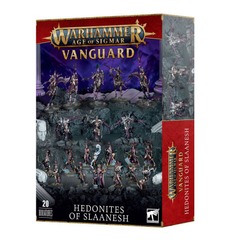 Warhammer Age of Sigmar Hedonites of Slaanesh Vanguard