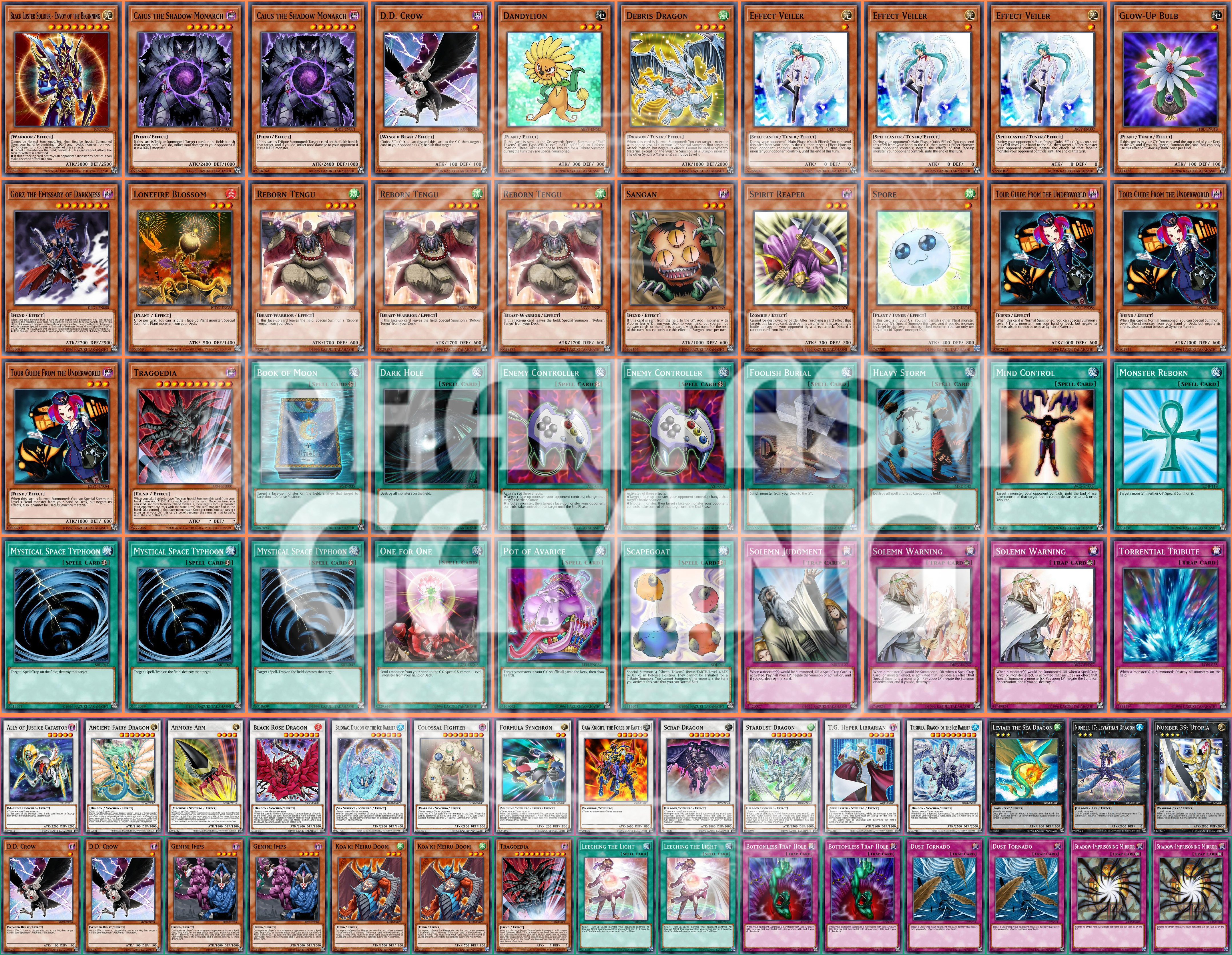 plant yugioh cards Plant Synchro Deck Tragoedia Leviair Trishula Effect Veiler Yugioh