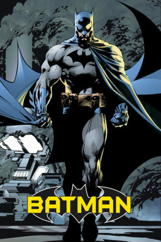 #29 - Batman Dark Knight