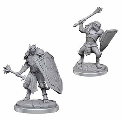 D&D Nolzur's Marvelous Unpainted Minis: W18 Dragonborn Clerics (90522)