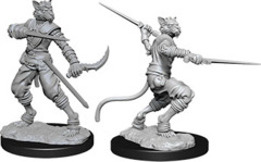 D&D Nolzur's Marvelous Miniatures: Male Tabaxi Rogue