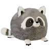 Squishable Baby Raccoon
