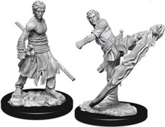 Nolzur`s Marvelous Unpainted Miniatures: W10 Male Half-Elf Monk