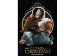 Fantastic Beasts Baby Nifflers 1000 Piece Premium Puzzle