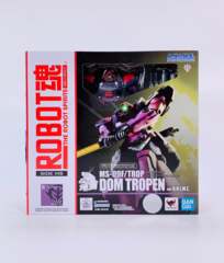 MS-09F/TROP Dom Tropen