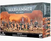 Drukhari: Kabalite Warriors