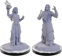 Dungeons & Dragons Nolzurs Marvelous Unpainted Miniatures: W22 Elf Wizards WIZKIDS/NECA