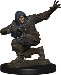 Pathfinder Battles: Premium Painted Figure - W01 Human Rogue Male