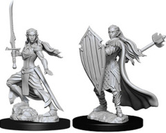 Nolzur`s Marvelous Unpainted Miniatures: W9 Female Elf Paladin