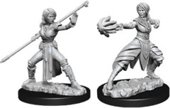 Nolzur`s Marvelous Unpainted Miniatures: W10 Female Half-Elf Monk