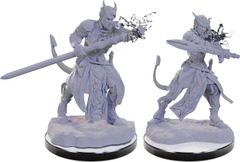 Dungeons & Dragons Nolzur's Marvelous Unpainted Miniatures: W22 Tiefling Warlocks