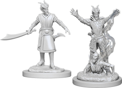 Nolzur`s Marvelous Unpainted Miniatures: W6 Male Tiefling Warlock