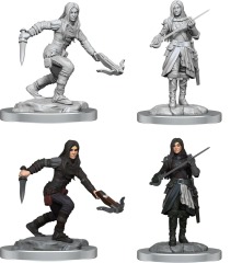 Half-Elf Rogue Female