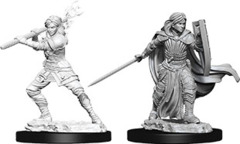Nolzur`s Marvelous Unpainted Miniatures: W10 Female Human Paladin