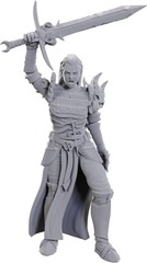 Dungeons & Dragons: Nolzur's Marvelous Unpainted Miniatures - W25 Blackguard
