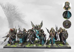 Nords: Valkyries