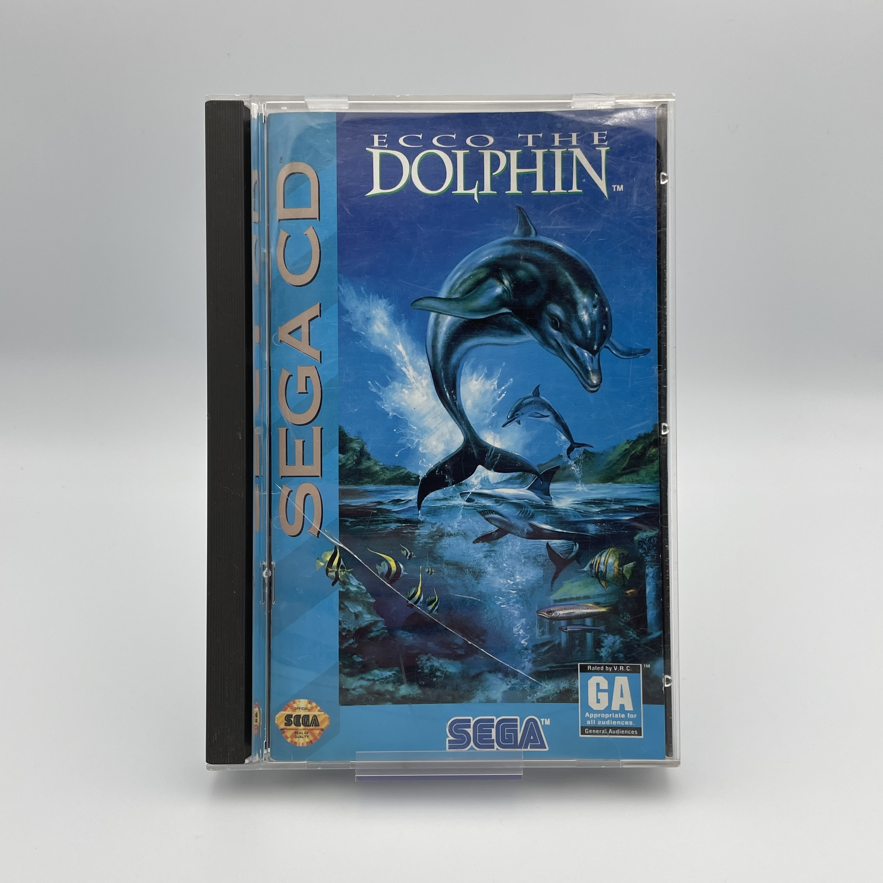 Ecco the Dolphin