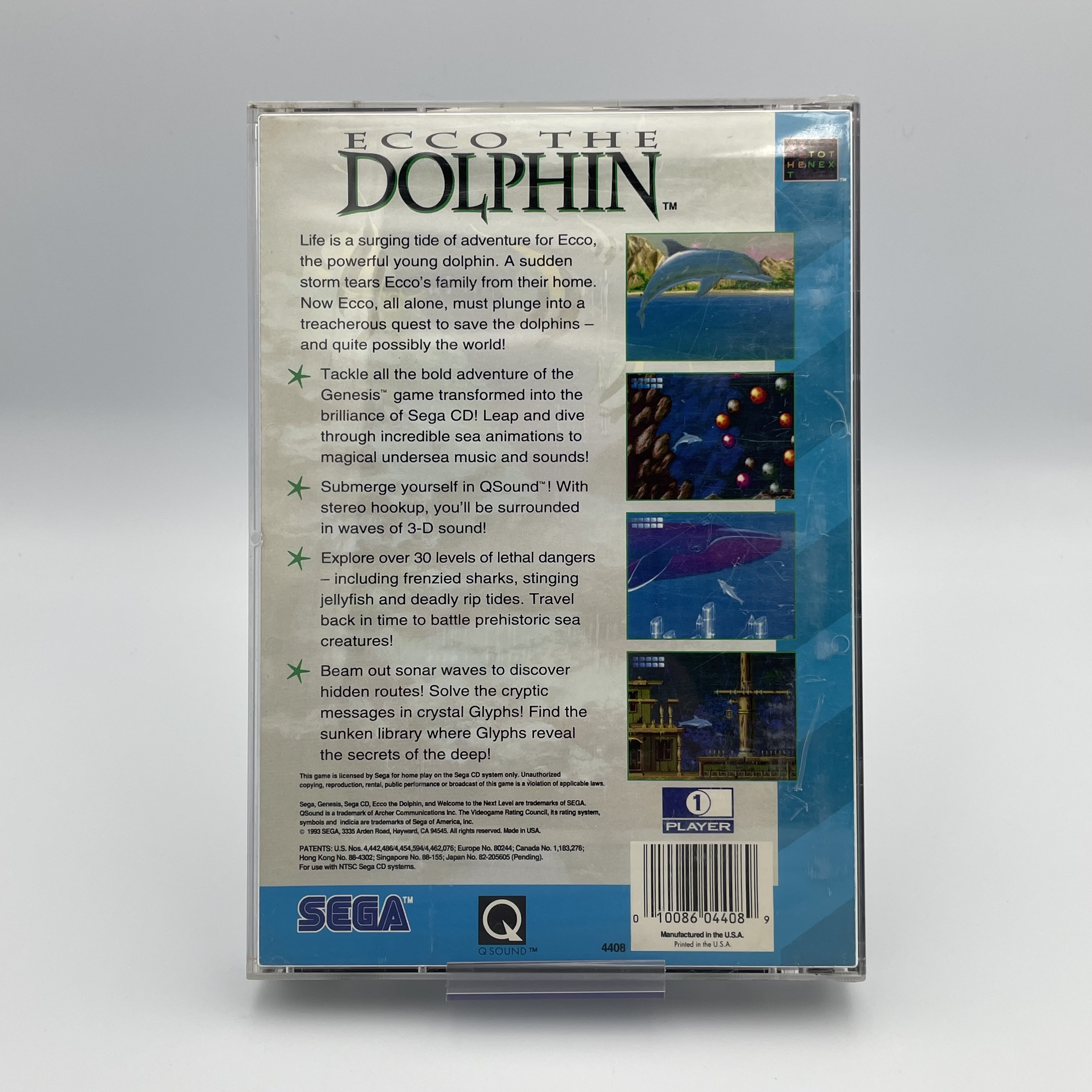 Ecco the Dolphin