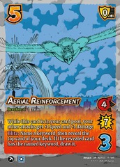Aerial Reinforcement