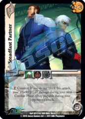Steadfast Partner