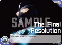 The Final Resolution BP01-106