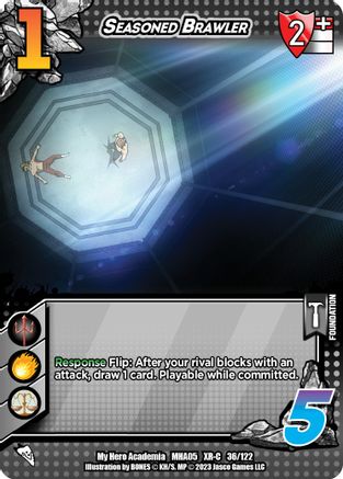 Seasoned Brawler (XR) - 1st Edition