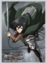 Attack on Titan-Mikasa Card Sleeves