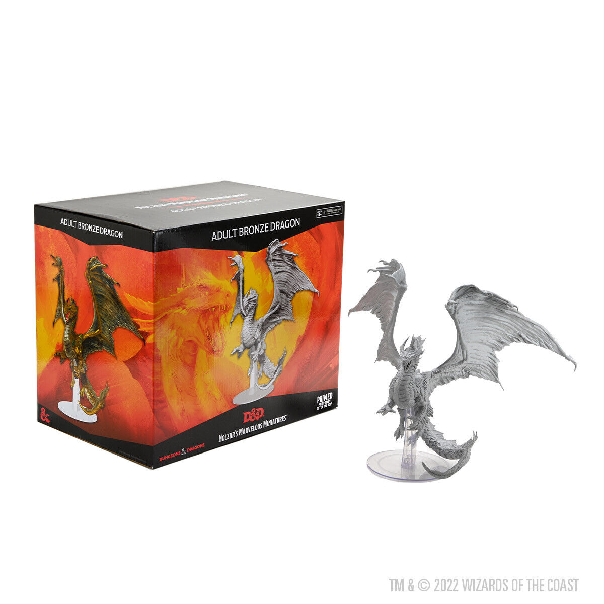 Adult Bronze Dragon