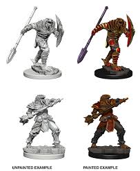 Dragonborn Fighter With Spear