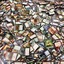 Bulk Magic 800 Ct