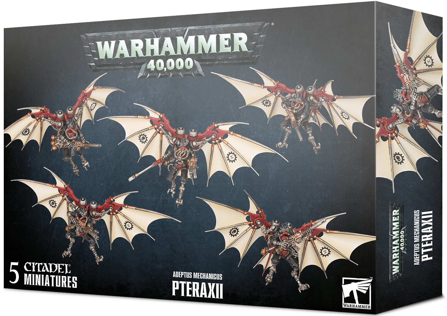 Pteraxii