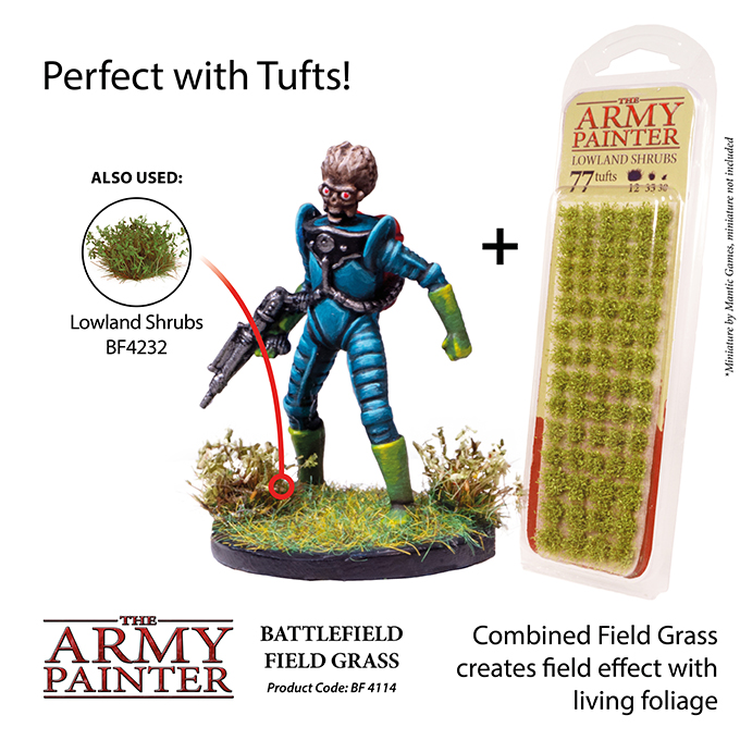 Field Grass (2019)